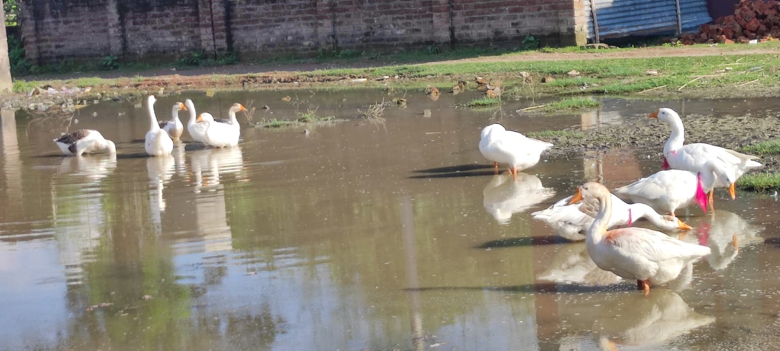 Monakhali Union